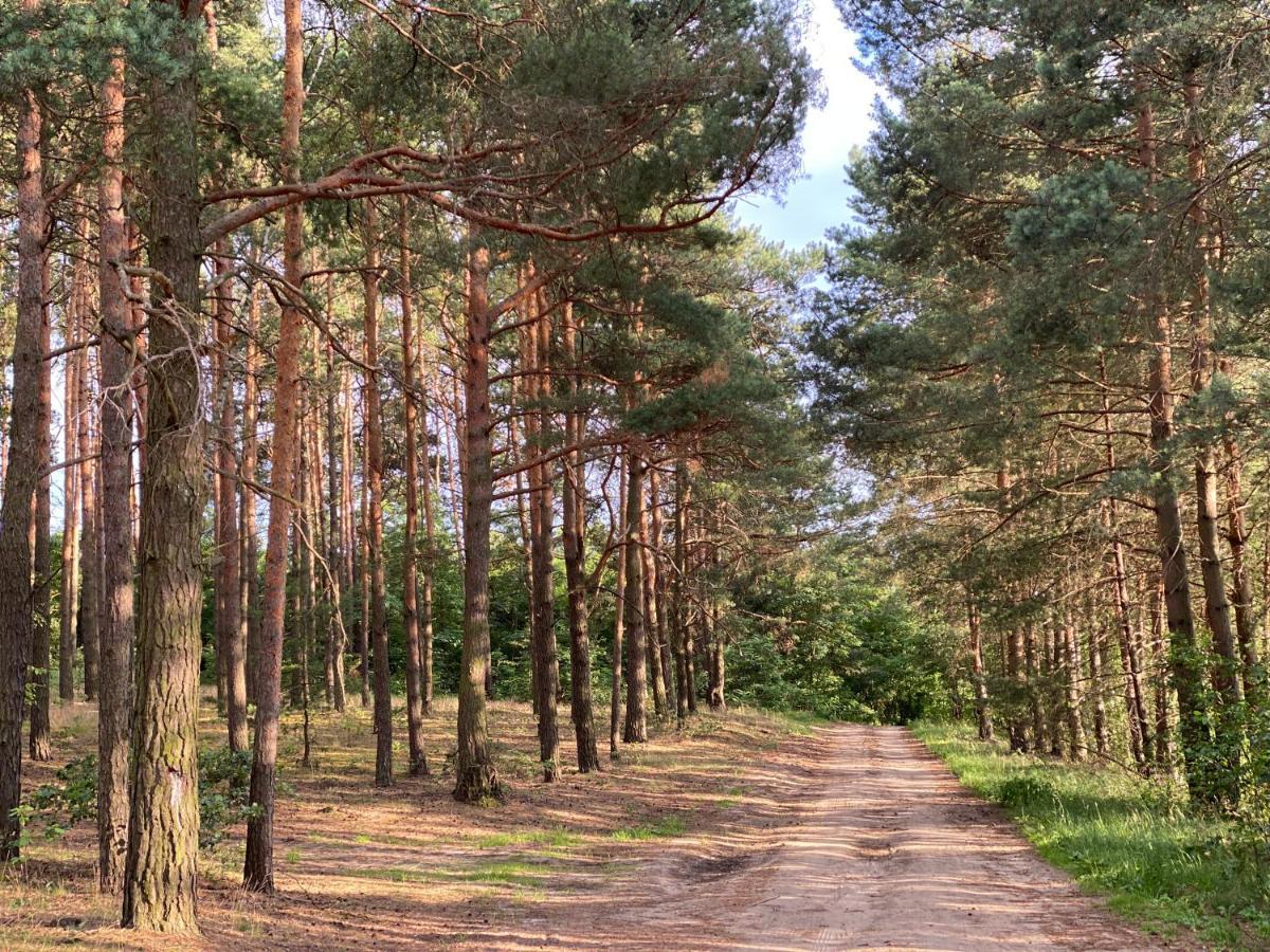 Przytulny Apartament Dla Dwojga Sulejów Buitenkant foto